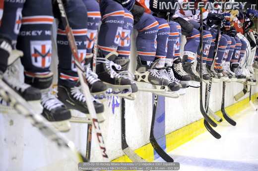 2015-02-15 Hockey Milano Rossoblu U12-Valpellice 0307 Squadra